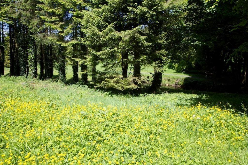 Photo of Outdoor in Castlerea