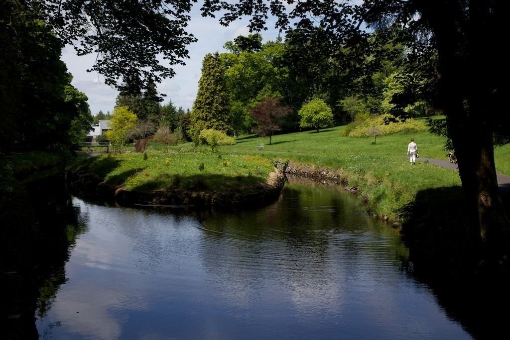 Photo of Outdoor in Castlerea