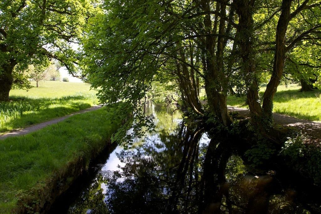 Photo of Outdoor in Castlerea