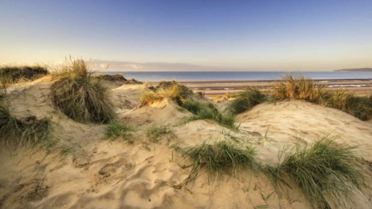 Photo of Others in Camber