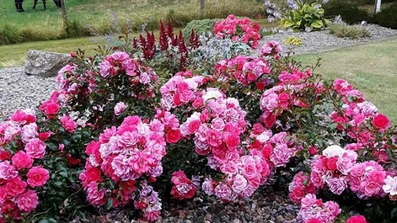 Photo of Outdoor in Ballyconnell