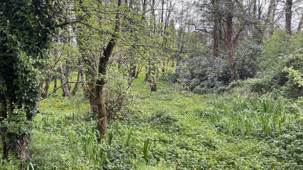 Photo of Outdoor in Enniskillen