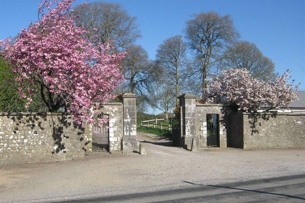 Photo of Outdoor in Kilmallock