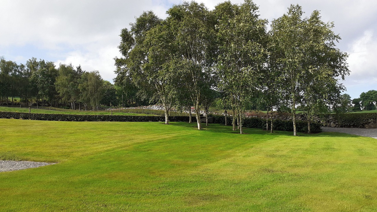 Photo of Outdoor in Garrykennedy