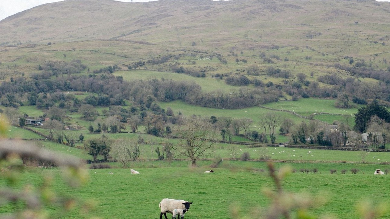 Photo of Others in Dromore