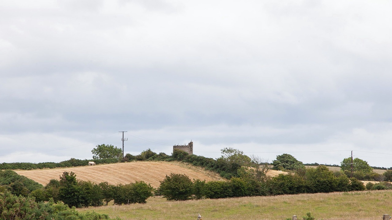 Photo of Others in Downpatrick