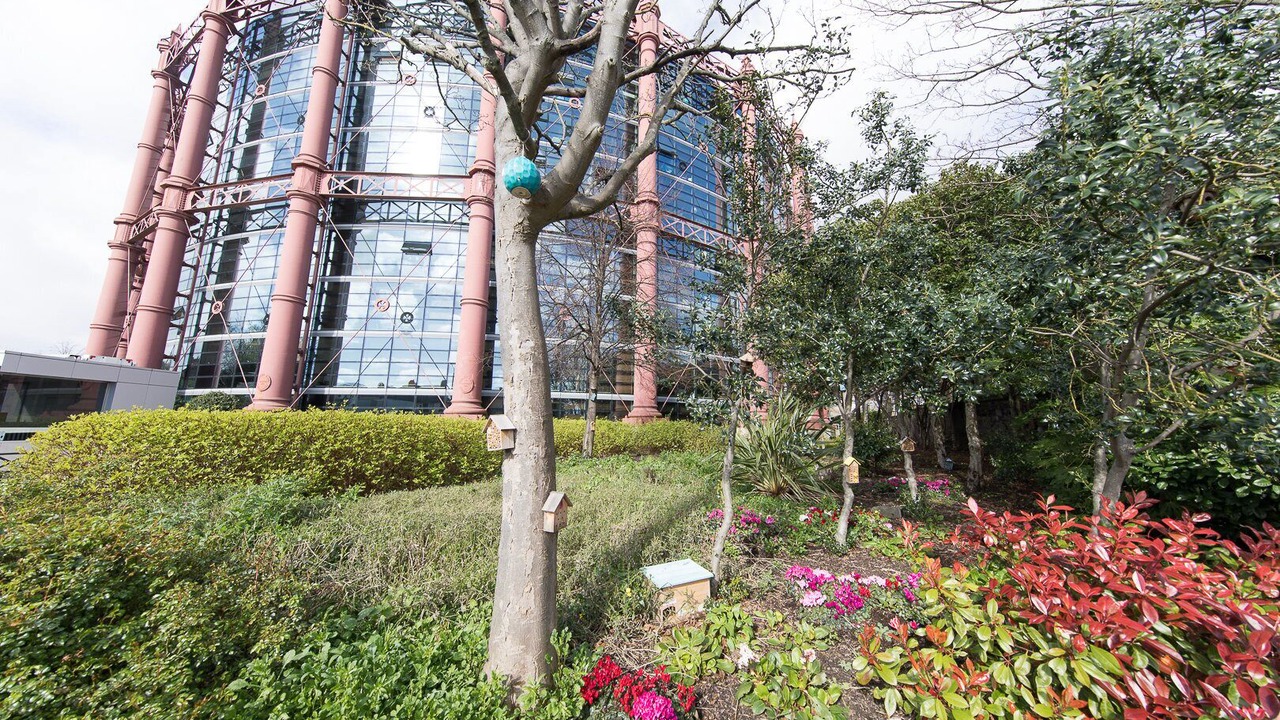 Photo of Outdoor in Ballsbridge