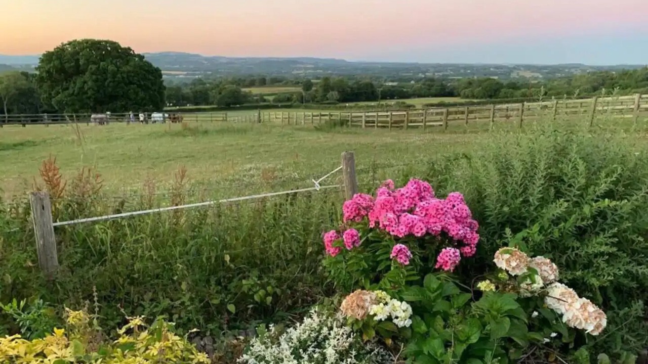 Photo of Outdoor in Hensol