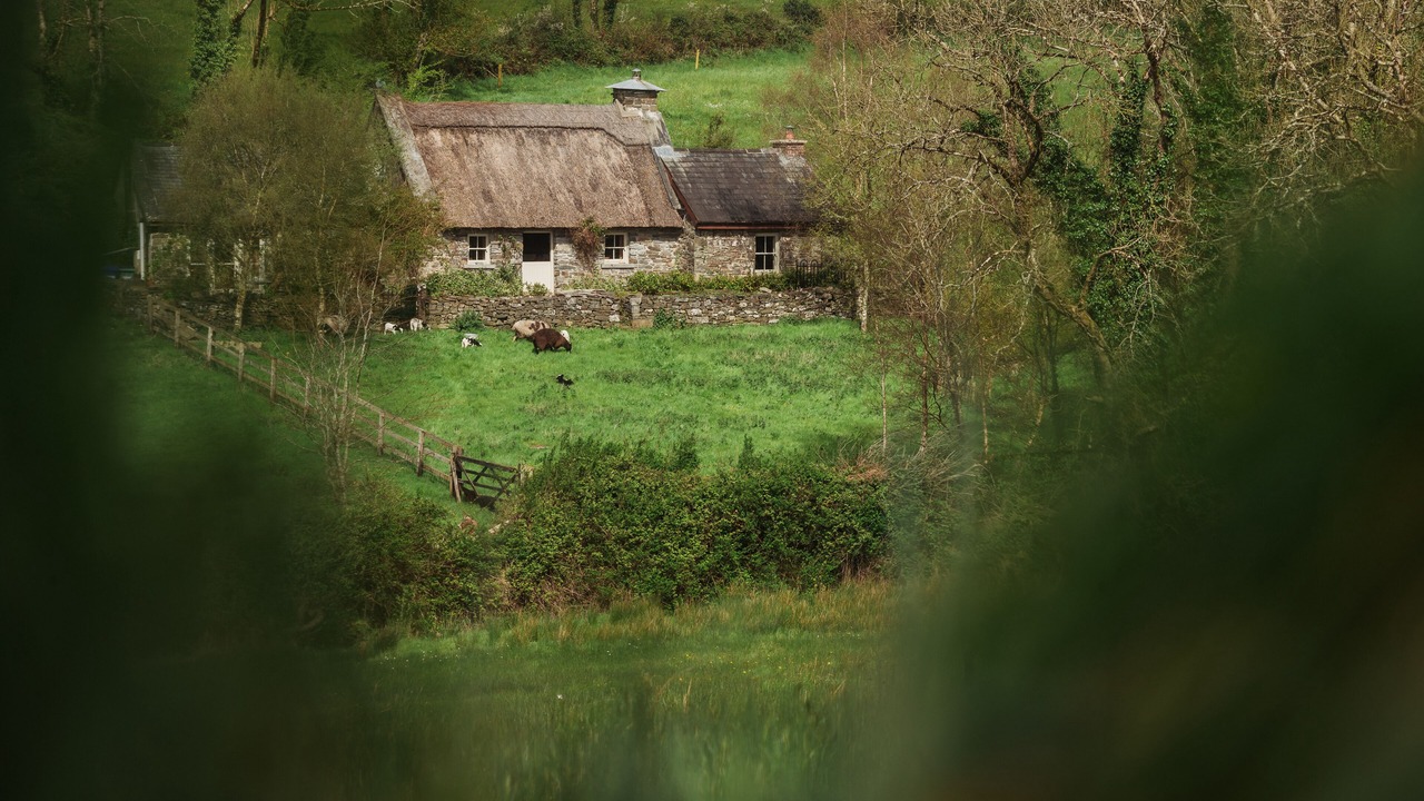 Photo of Others in Darragh