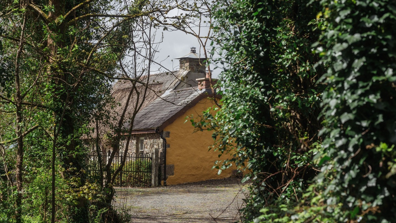 Photo of Outdoor in Darragh