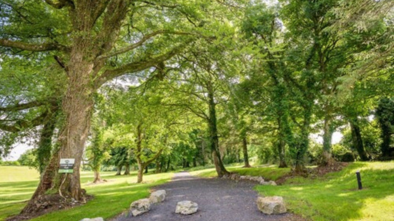Photo of Outdoor in Breaghwy
