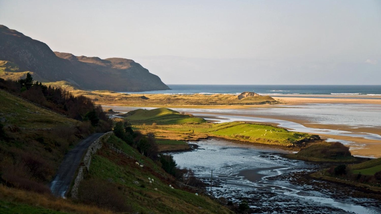 Photo of Others in Donegal