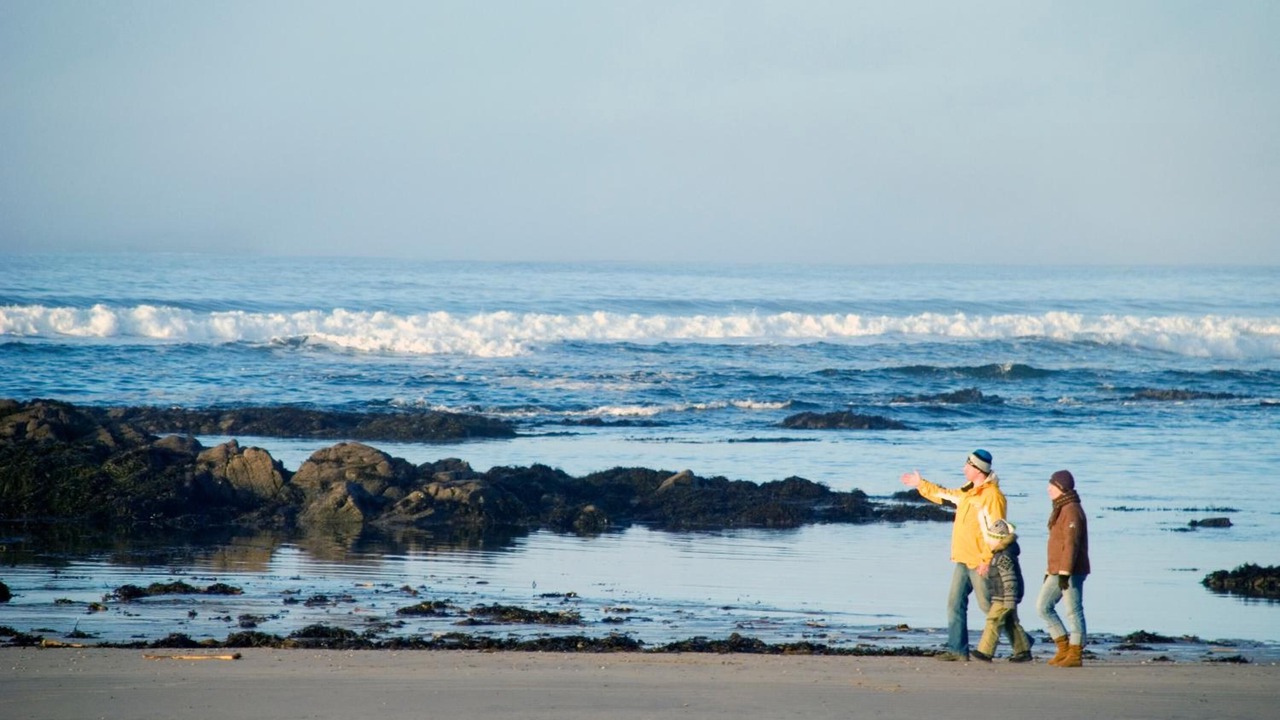 Photo of Others in Donegal