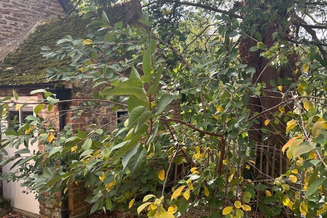 Photo of Outdoor in Tockenham