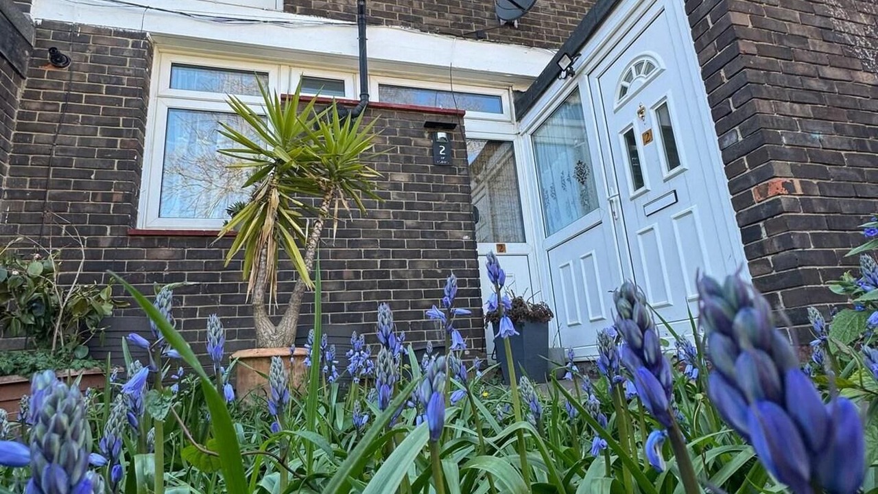Photo of Outdoor in The Lane