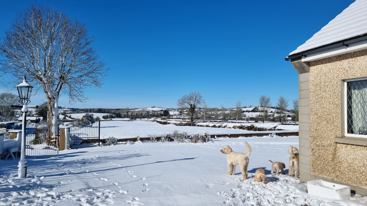 Photo of Outdoor in Newtownards