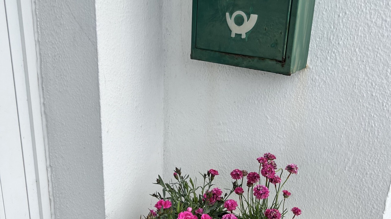 Photo of Outdoor in Ennis
