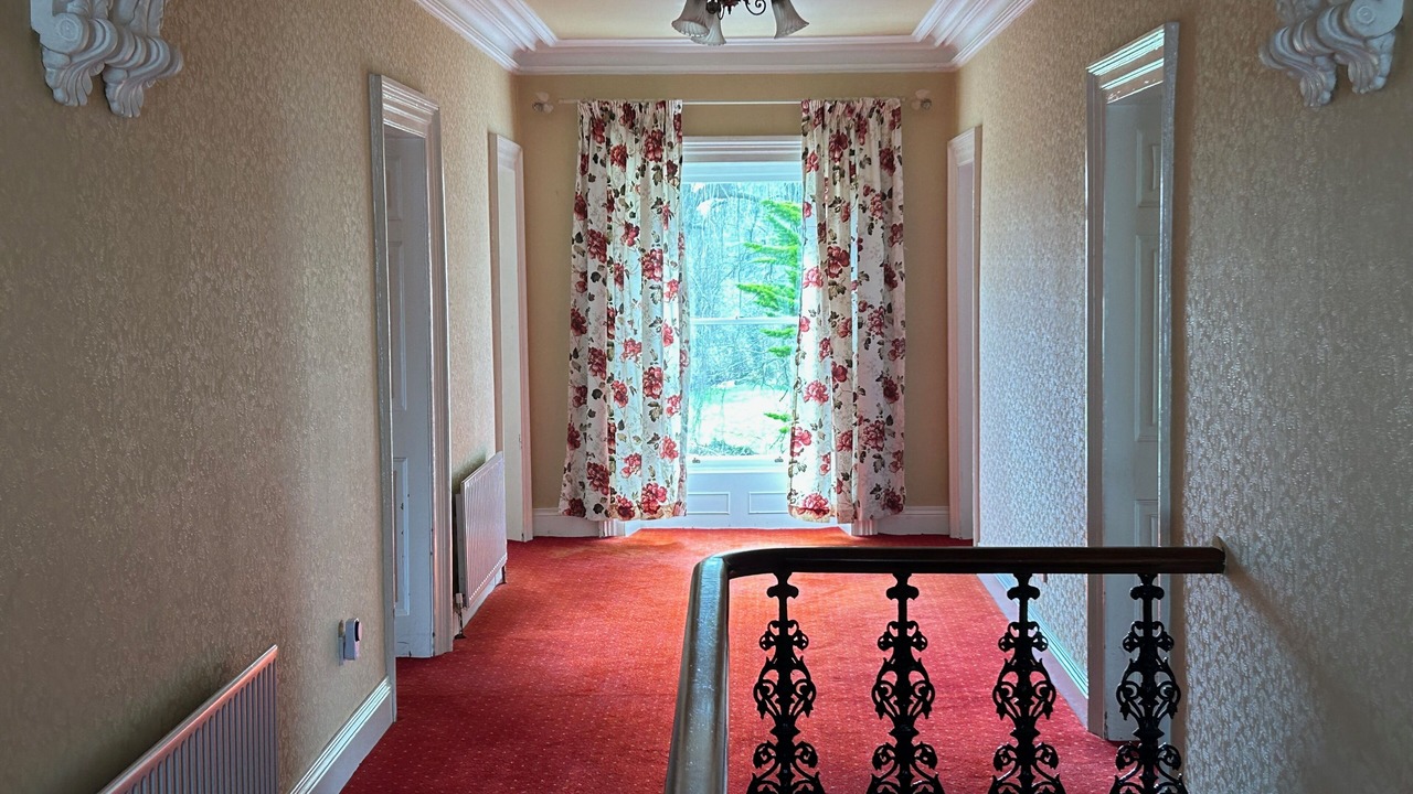 Photo of Others in Annsborough