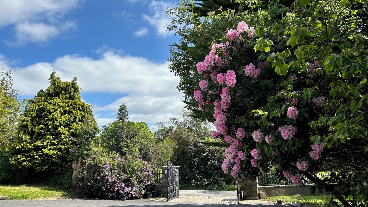 Photo of Outdoor in Annsborough