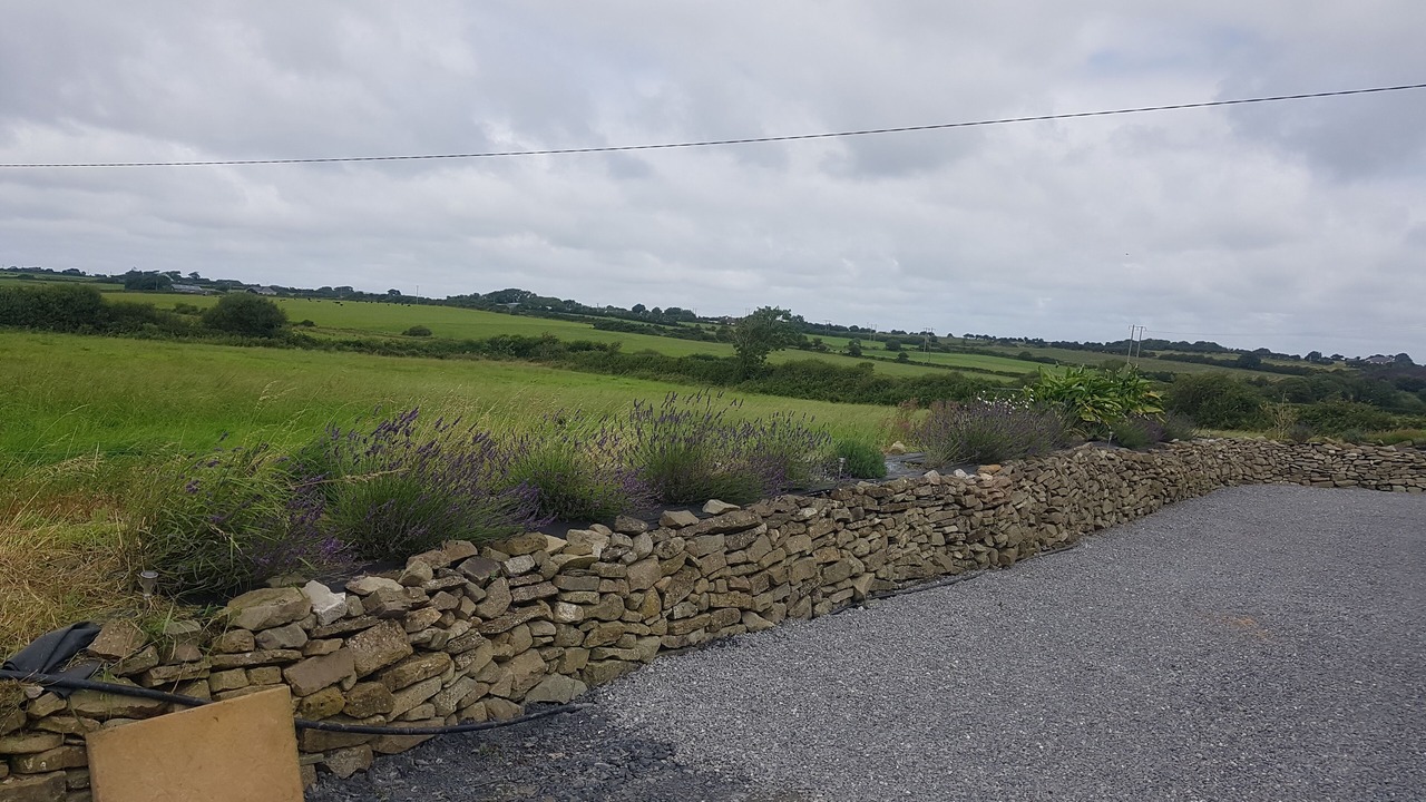 Photo of Others in Ballyduff