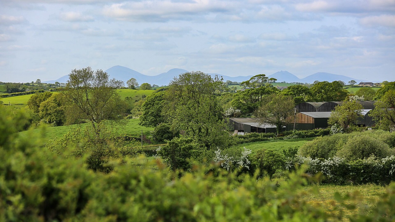 Photo of Outdoor in Newtownards