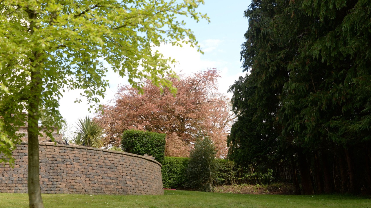 Photo of Outdoor in Coleraine