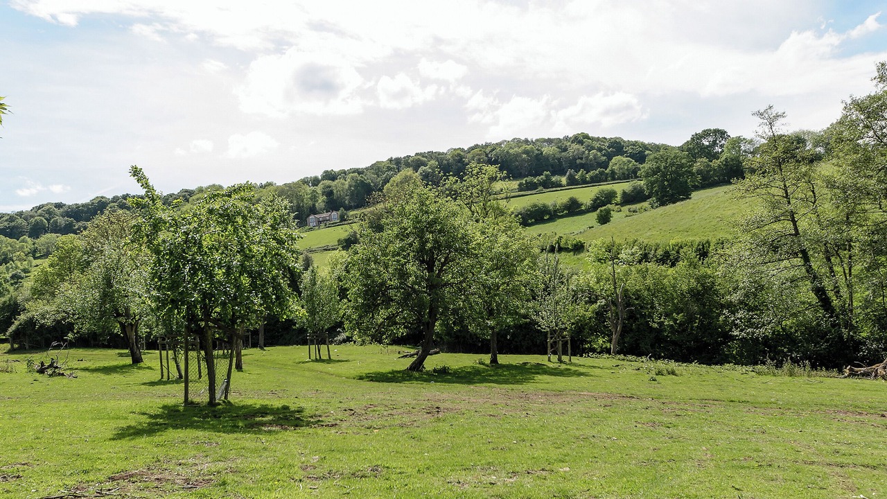Photo of Others in Longhope