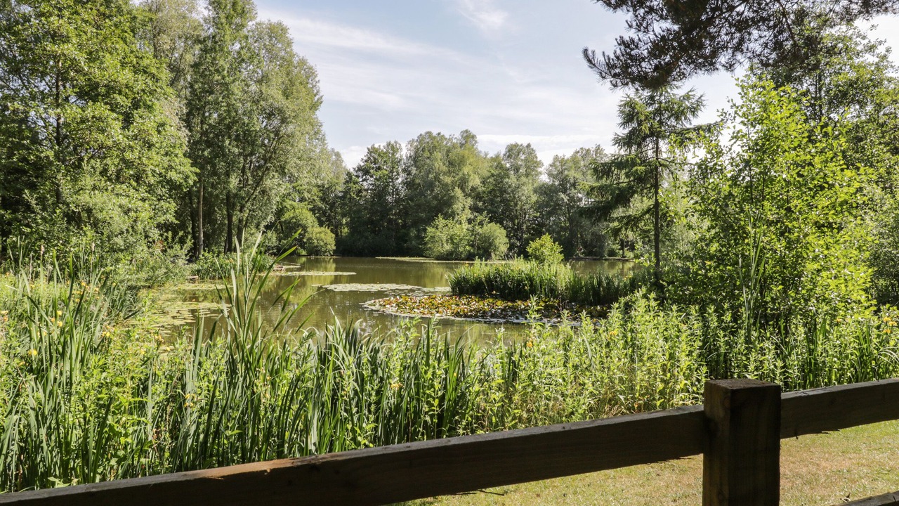 Photo of Outdoor in Potter Brompton