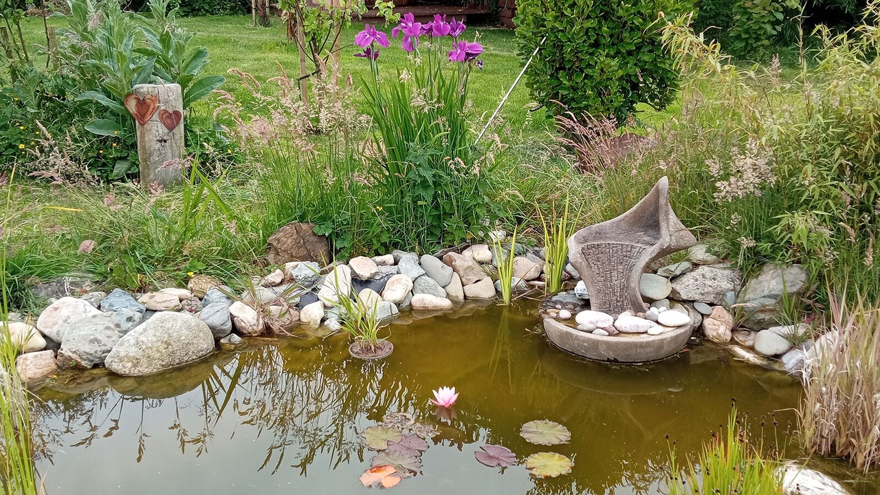 Photo of Outdoor in Carrig-on Bannow