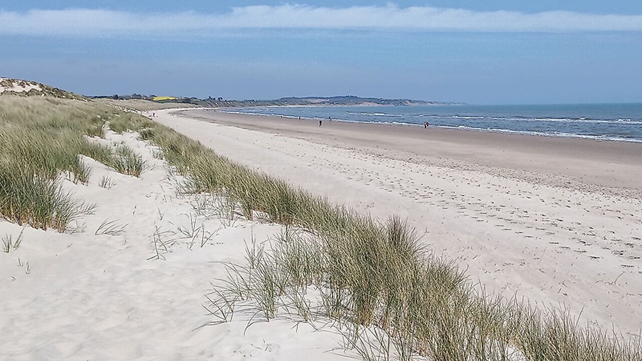 Photo of Others in Carrig-on Bannow
