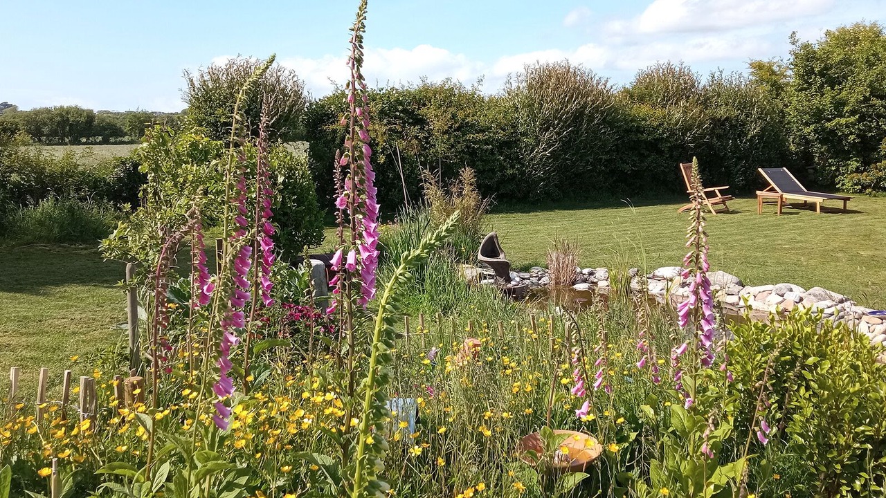 Photo of Outdoor in Carrig-on Bannow