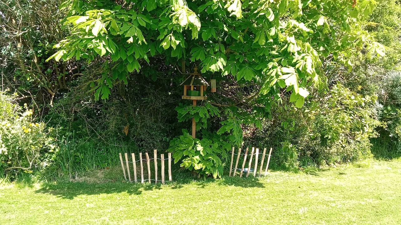 Photo of Outdoor in Carrig-on Bannow