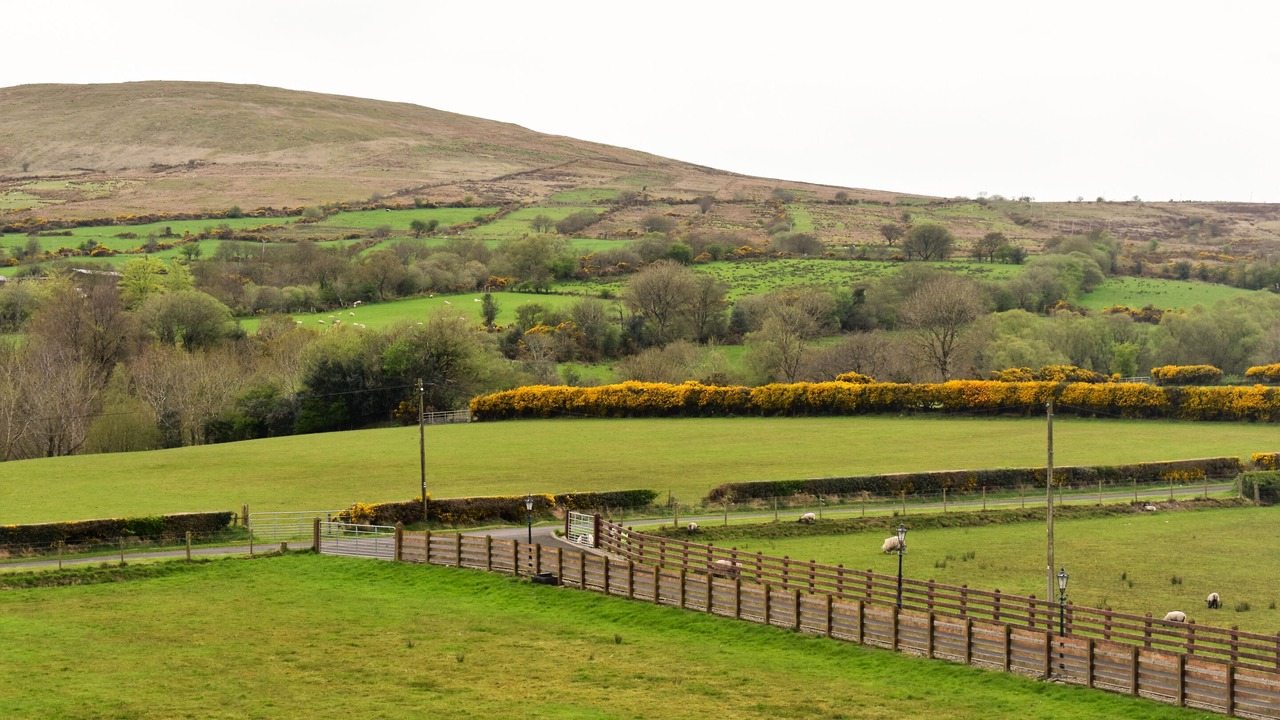 Photo of Others in Maghera