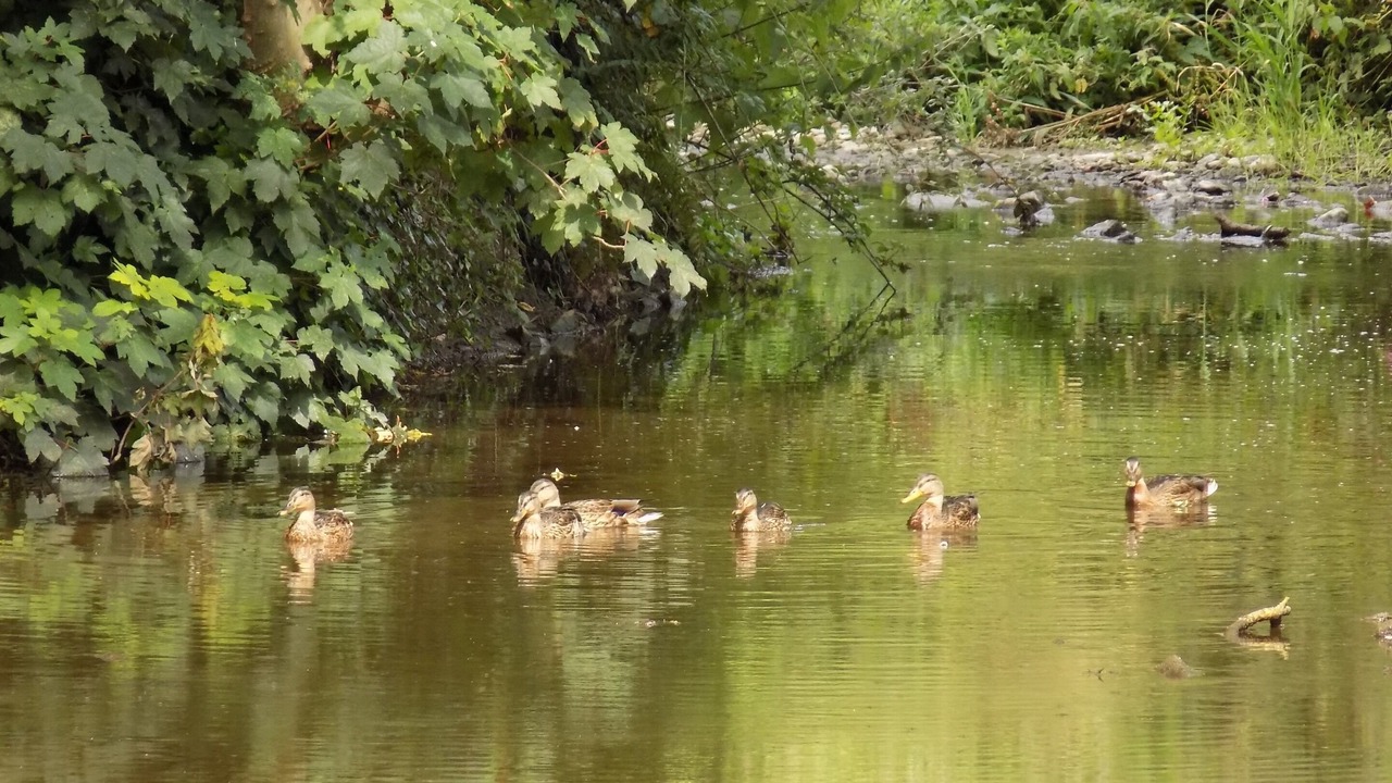Photo of Others in Termonfeckin