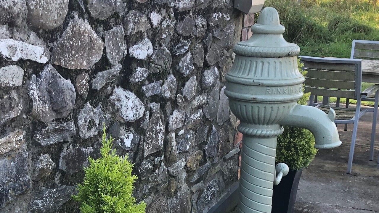 Photo of Outdoor in Termonfeckin
