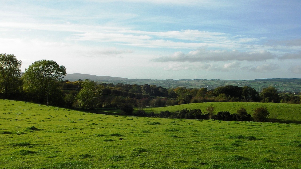 Photo of Others in Straid