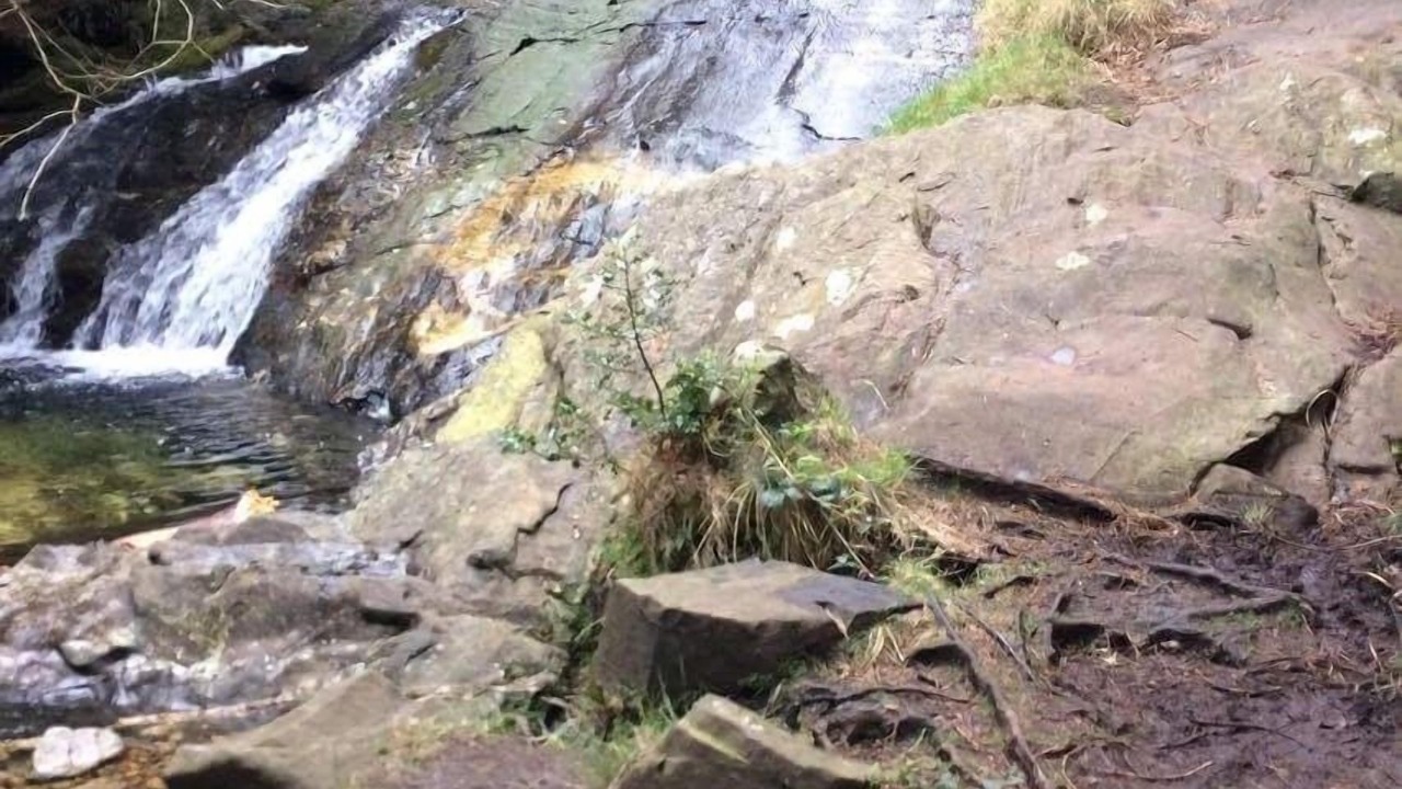Photo of Others in Newcastle
