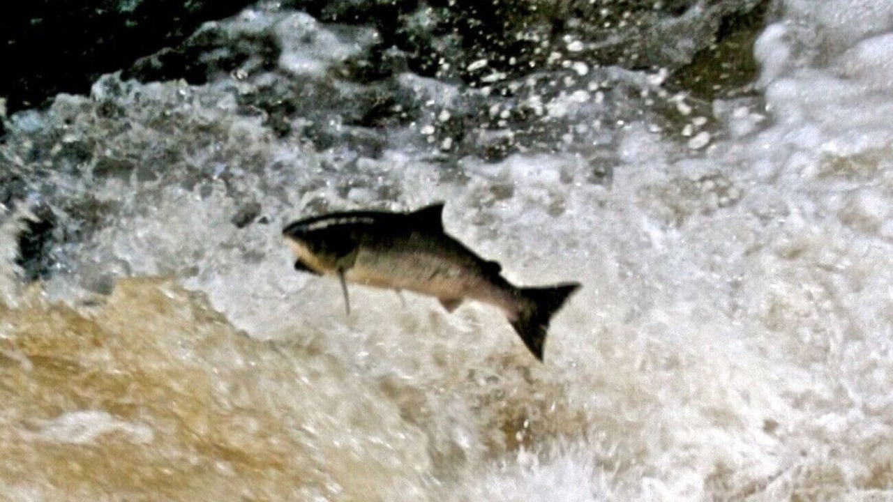 Photo of Others in Oughterard