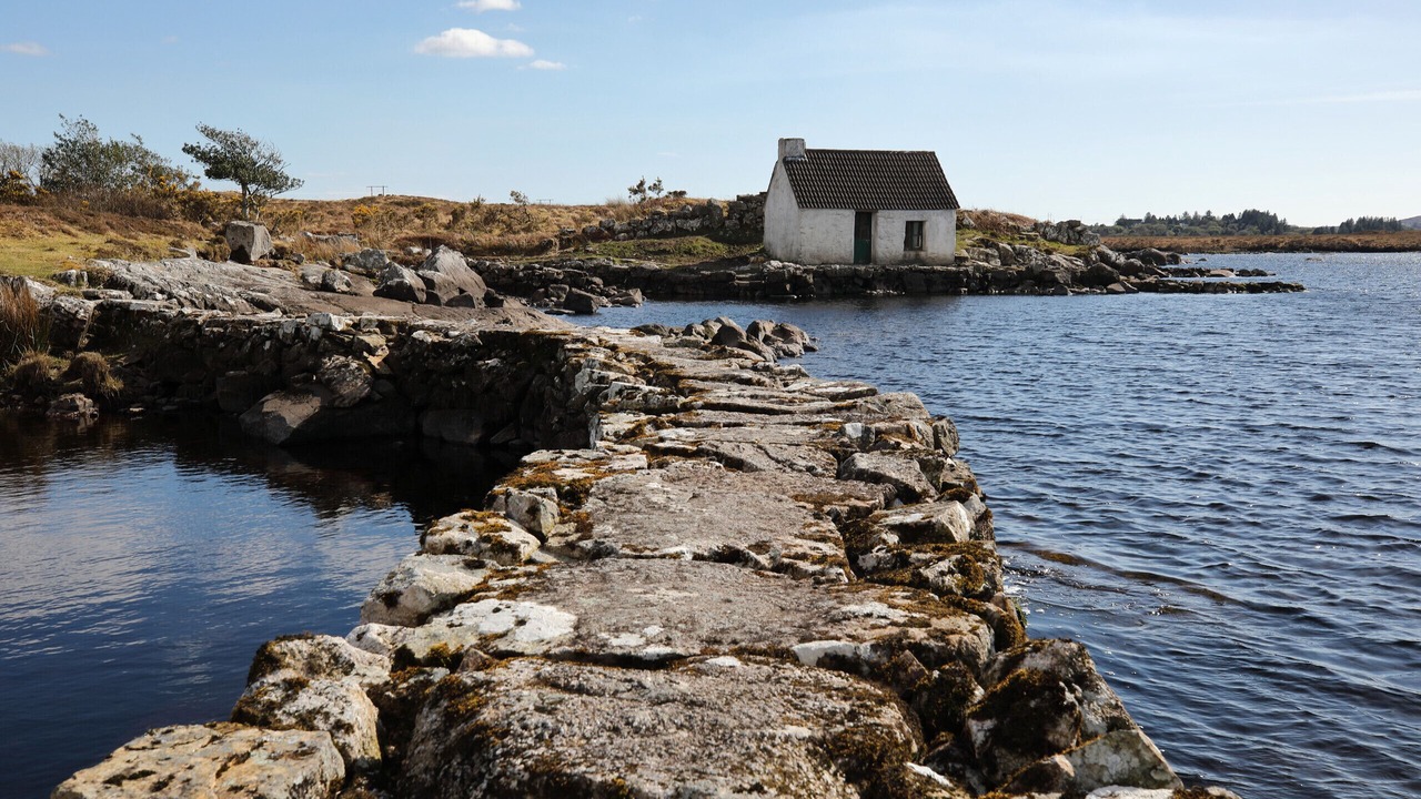 Photo of Others in Derravonniff