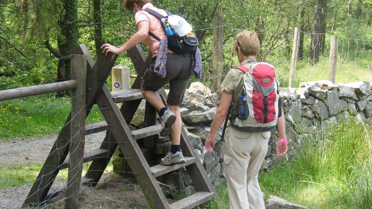 Photo of Others in Attical
