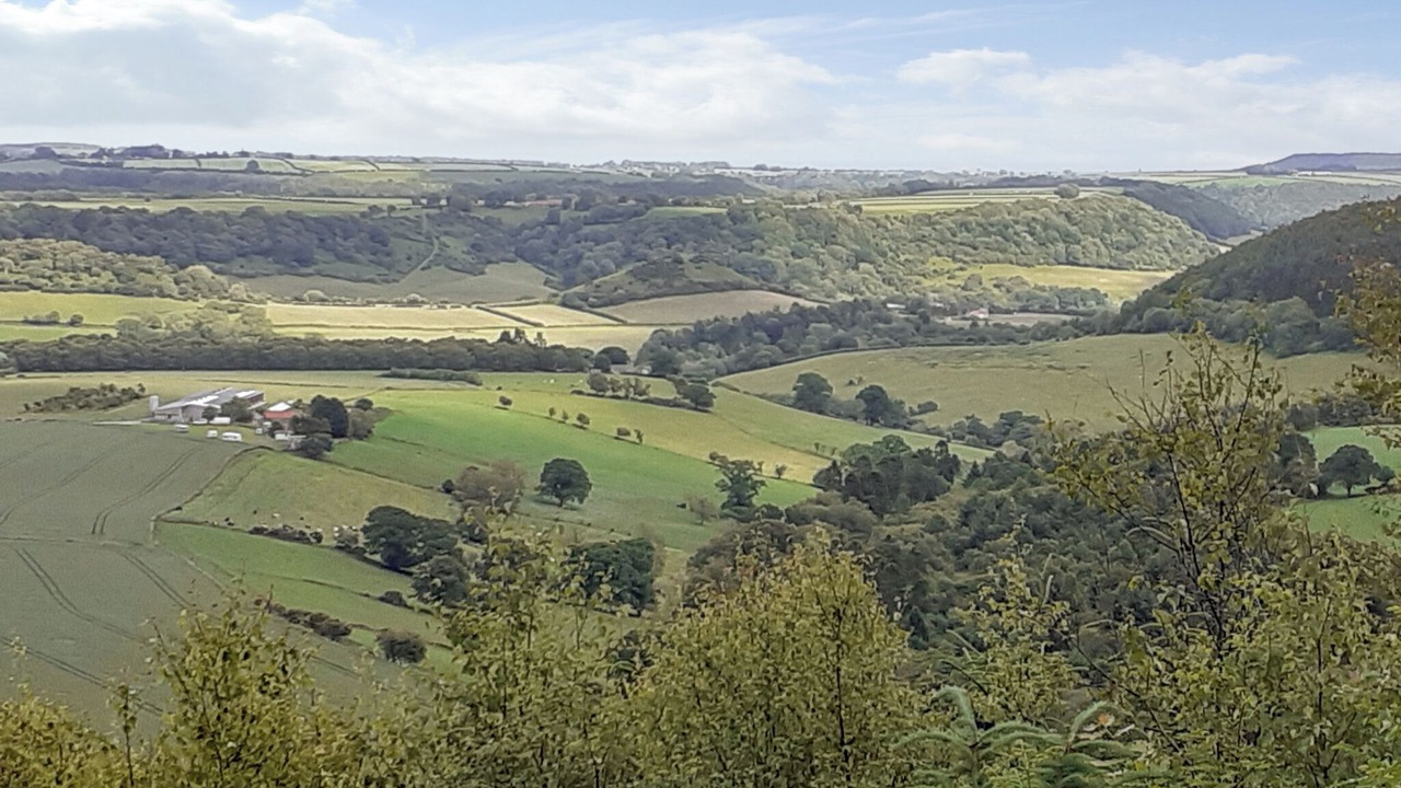 Photo of Others in Broxa