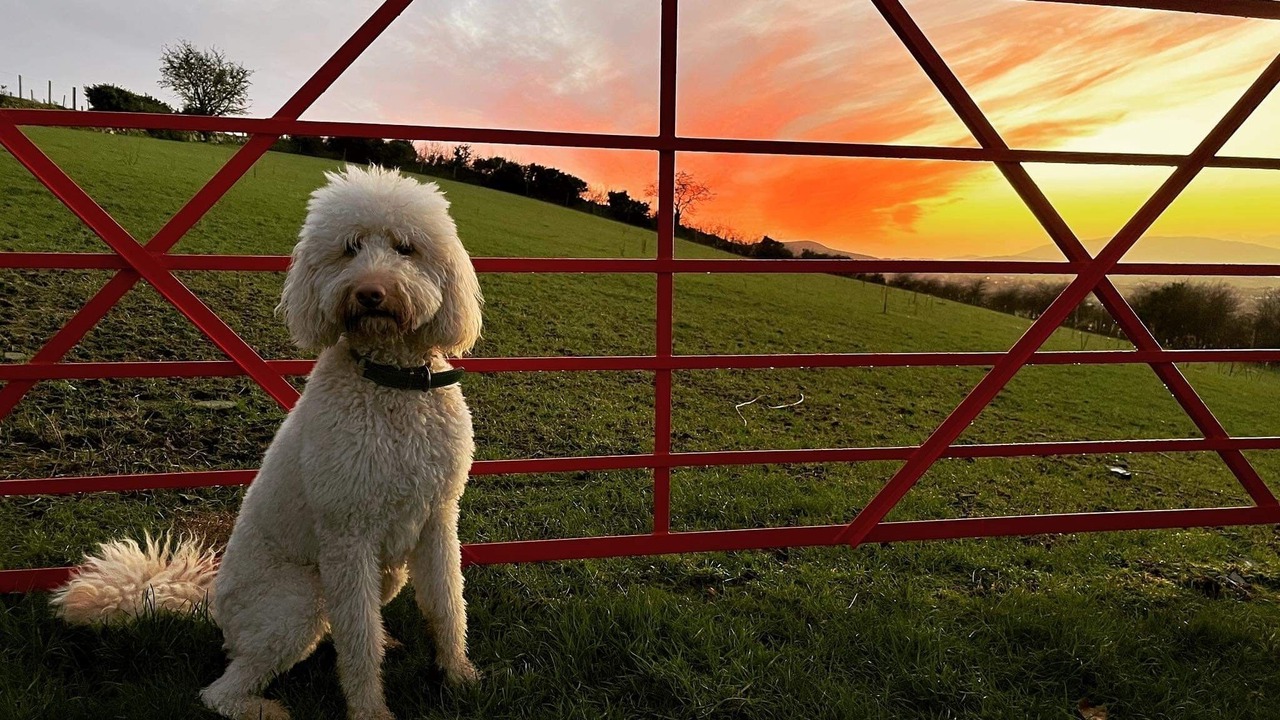 Photo of Outdoor in Newry