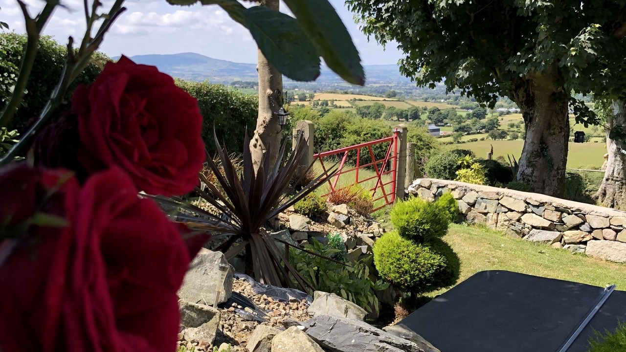 Photo of Outdoor in Newry