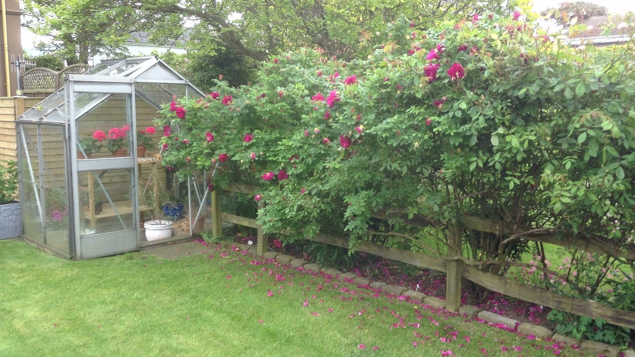 Photo of Outdoor in Warrenpoint