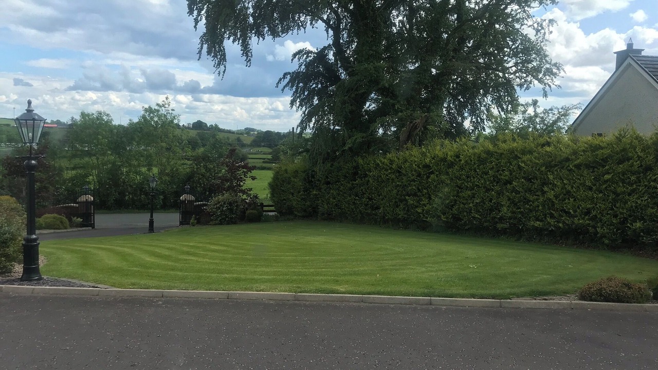 Photo of Others in Dungannon