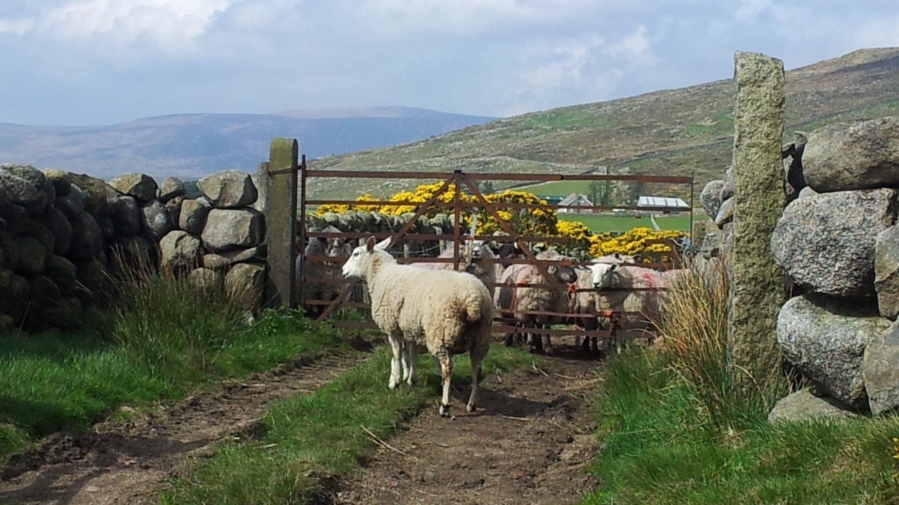 Photo of Outdoor in Loughinisland