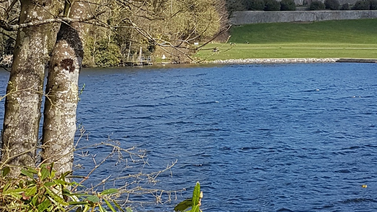 Photo of Outdoor in Loughinisland