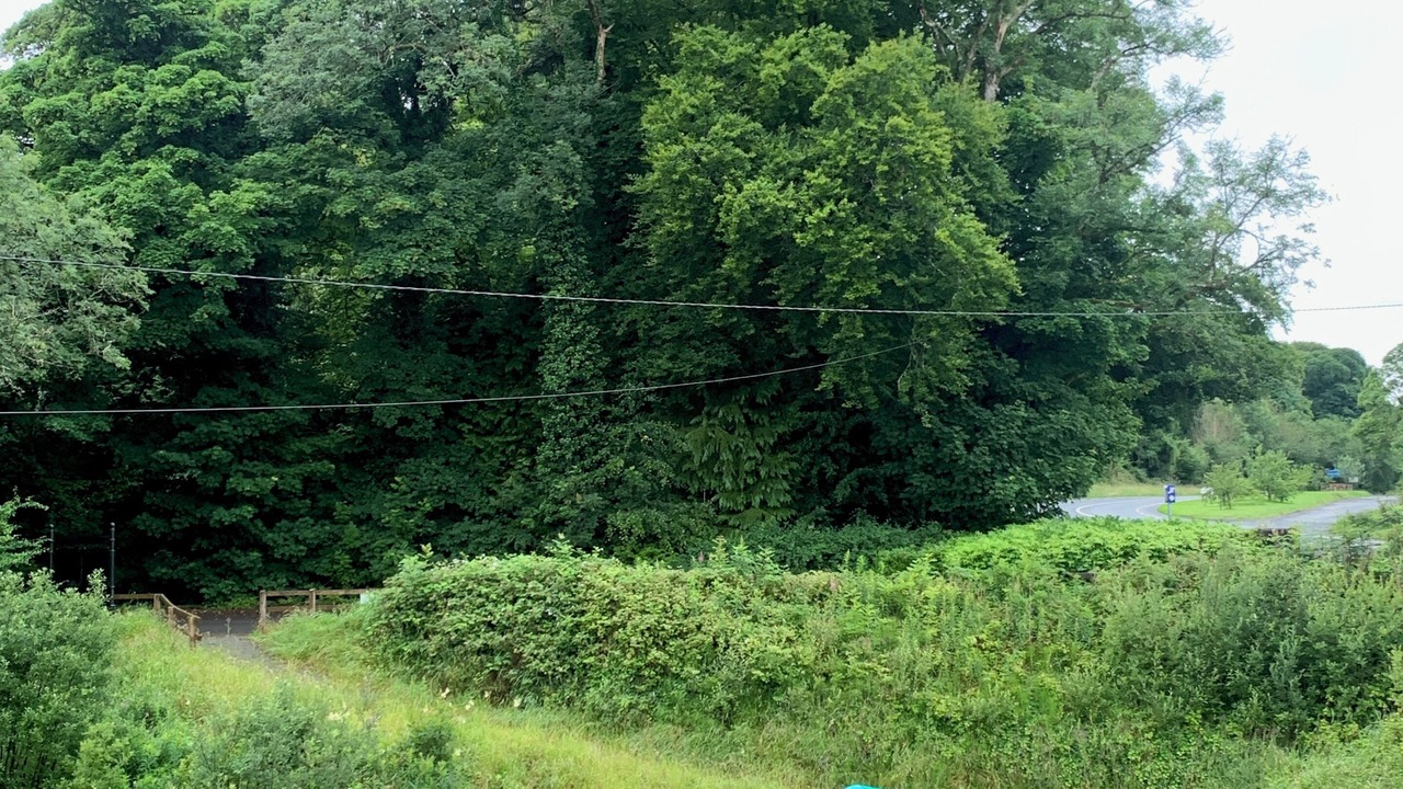 Photo of Others in Drumshanbo