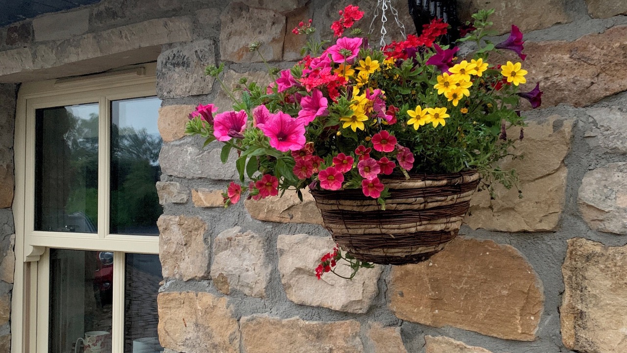 Photo of Outdoor in Drumshanbo
