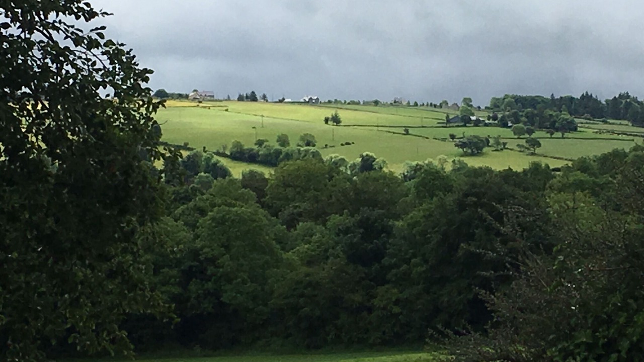 Photo of Others in Kilfinane